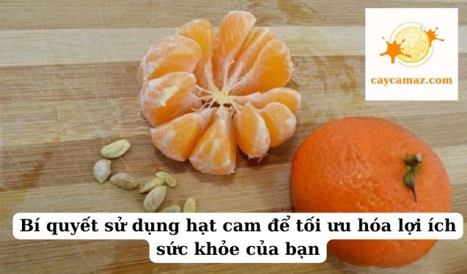 Bí quyết sử dụng hạt cam để tối ưu hóa lợi ích sức khỏe của bạn