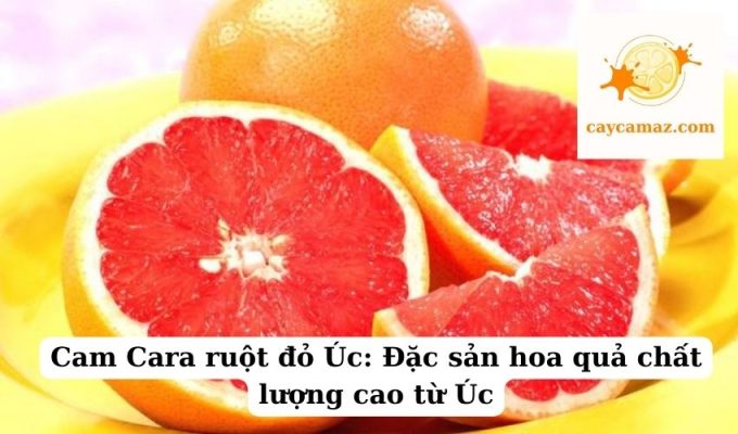 Cam Cara ruột đỏ Úc Đặc sản hoa quả chất lượng cao từ Úc