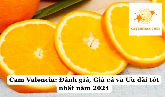 Cam Valencia Đánh giá, Giá cả và Ưu đãi tốt nhất năm 2024