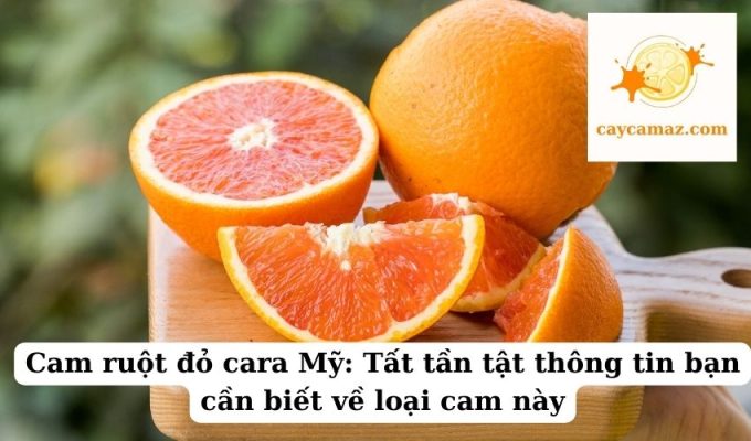 Cam ruột đỏ cara Mỹ Tất tần tật thông tin bạn cần biết về loại cam này