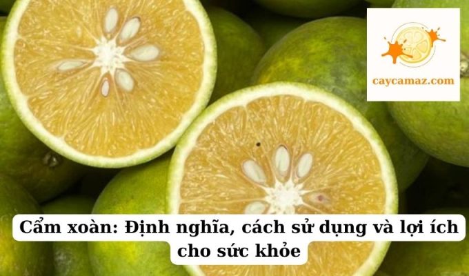 Cẩm xoàn Định nghĩa, cách sử dụng và lợi ích cho sức khỏe