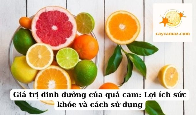 Giá trị dinh dưỡng của quả cam Lợi ích sức khỏe và cách sử dụng