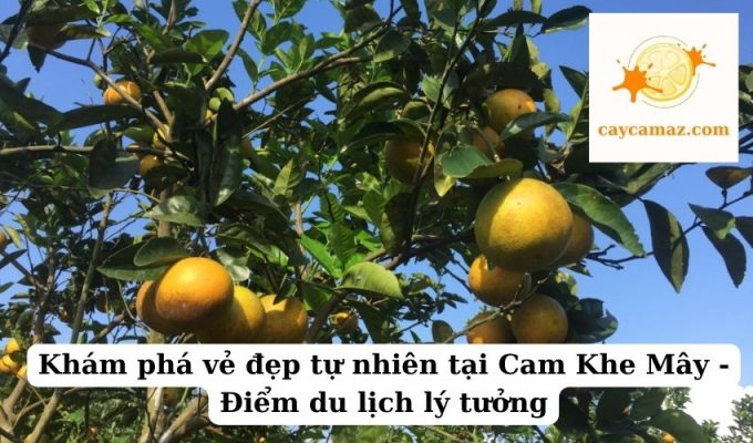 Khám phá vẻ đẹp tự nhiên tại Cam Khe Mây - Điểm du lịch lý tưởng