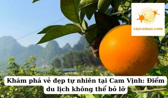 Khám phá vẻ đẹp tự nhiên tại Cam Vịnh Điểm du lịch không thể bỏ lỡ