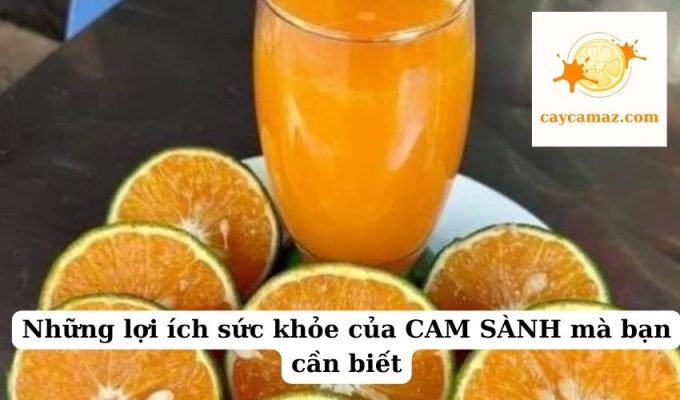 Những lợi ích sức khỏe của CAM SÀNH mà bạn cần biết