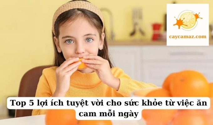 Top 5 lợi ích tuyệt vời cho sức khỏe từ việc ăn cam mỗi ngày